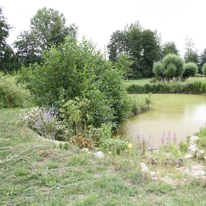 Domaine des Saules, location de salle - Vendières