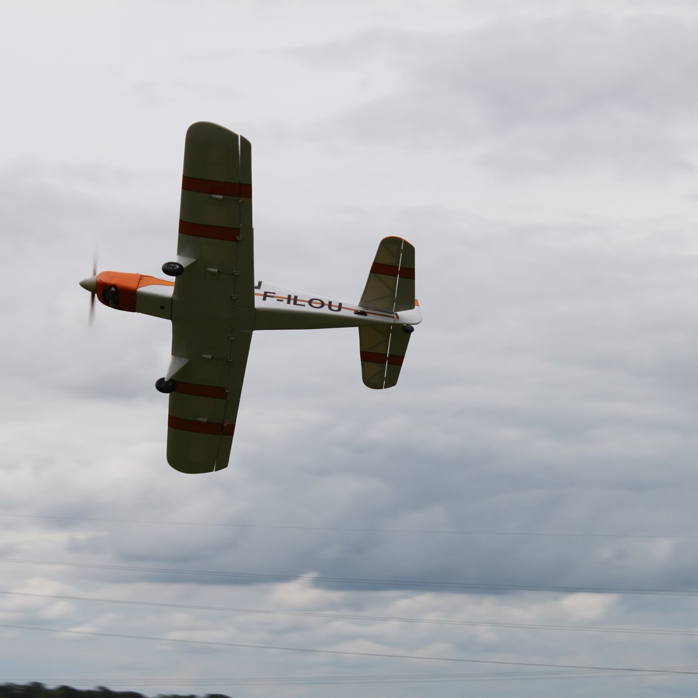 Les ailes carlésiennes - Charly sur Marne