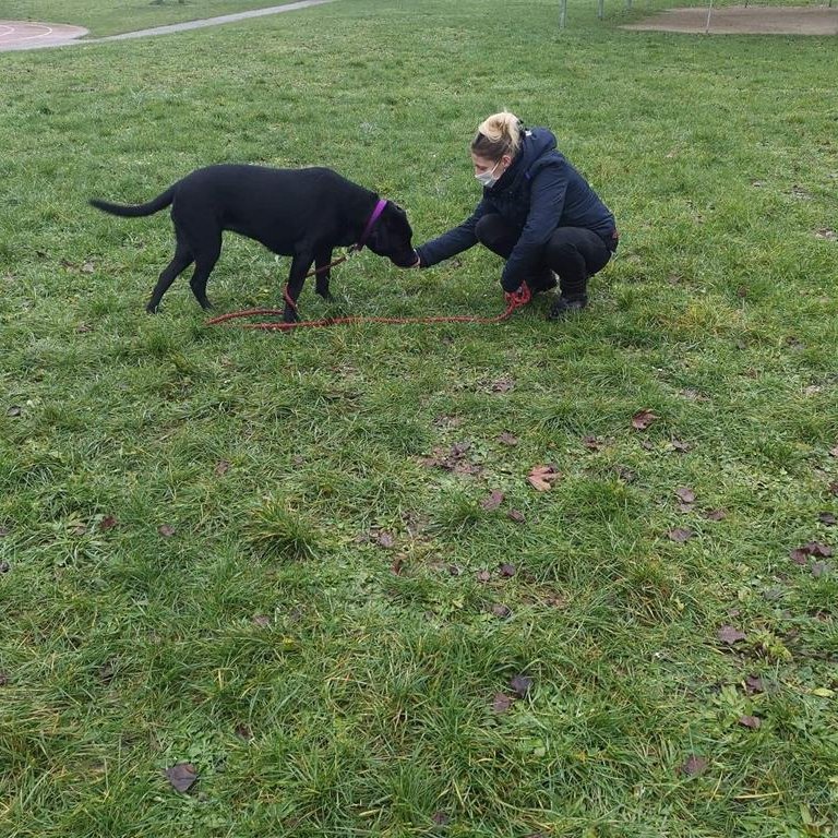 Educapositiv' - Charly sur Marne