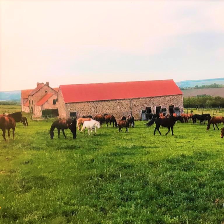 DOMAINE DES ROCHES Pension pour chevaux - Chézy sur Marne