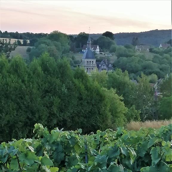 Champagne Bruno Berjot - Chézy sur Marne