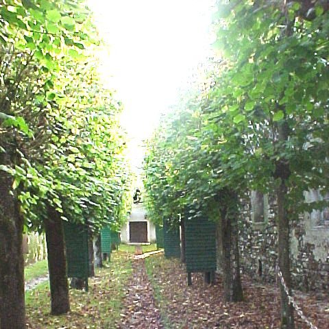 Compagnie d'Arc - Chézy sur Marne