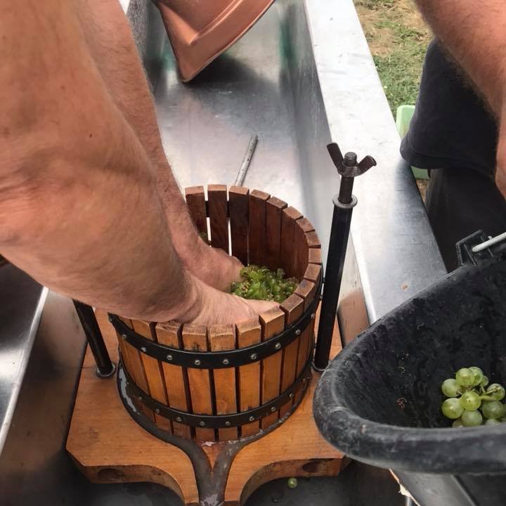 Champagne CRICCO, Villiers-Saint-Denis