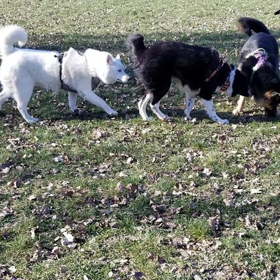 Educapositiv' - Charly sur Marne