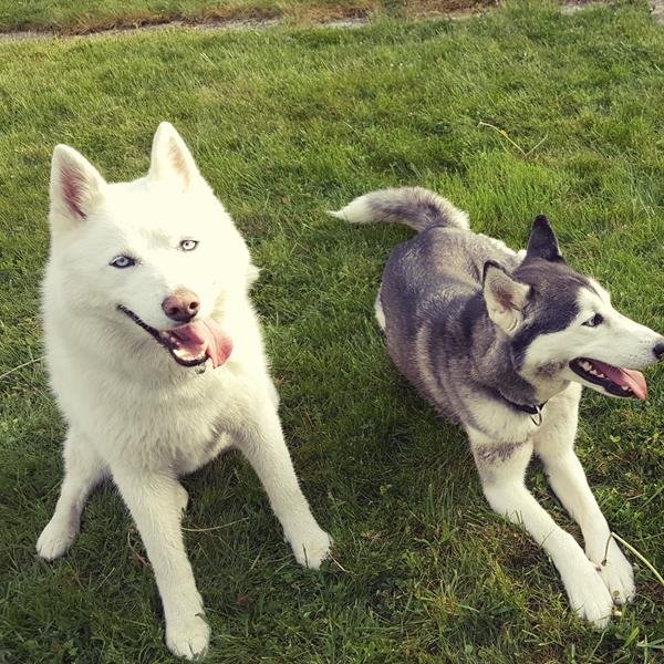 Educapositiv' - Charly sur Marne