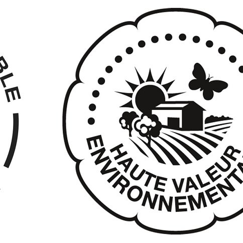 Champagne Doré Léguillette - Charly sur Marne