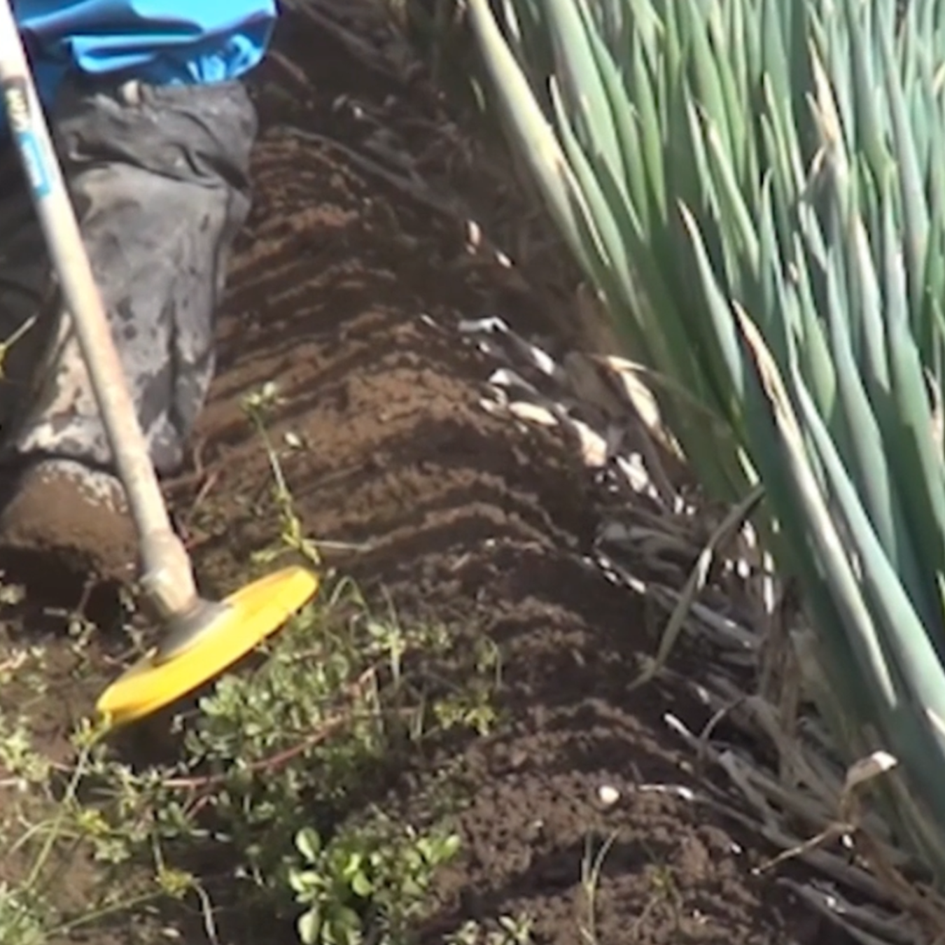 M.M.Environnement Veuilly la Poterie